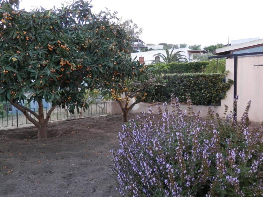 Casa Catalogna , Vicino Al Centro Storico. Villa Đảo Lipari Ngoại thất bức ảnh